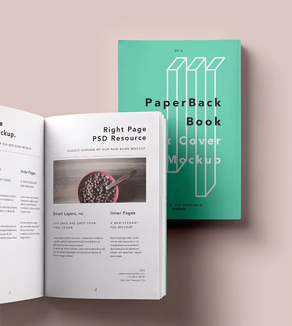 Paperback Book