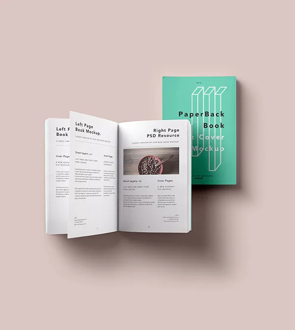 Paperback Book